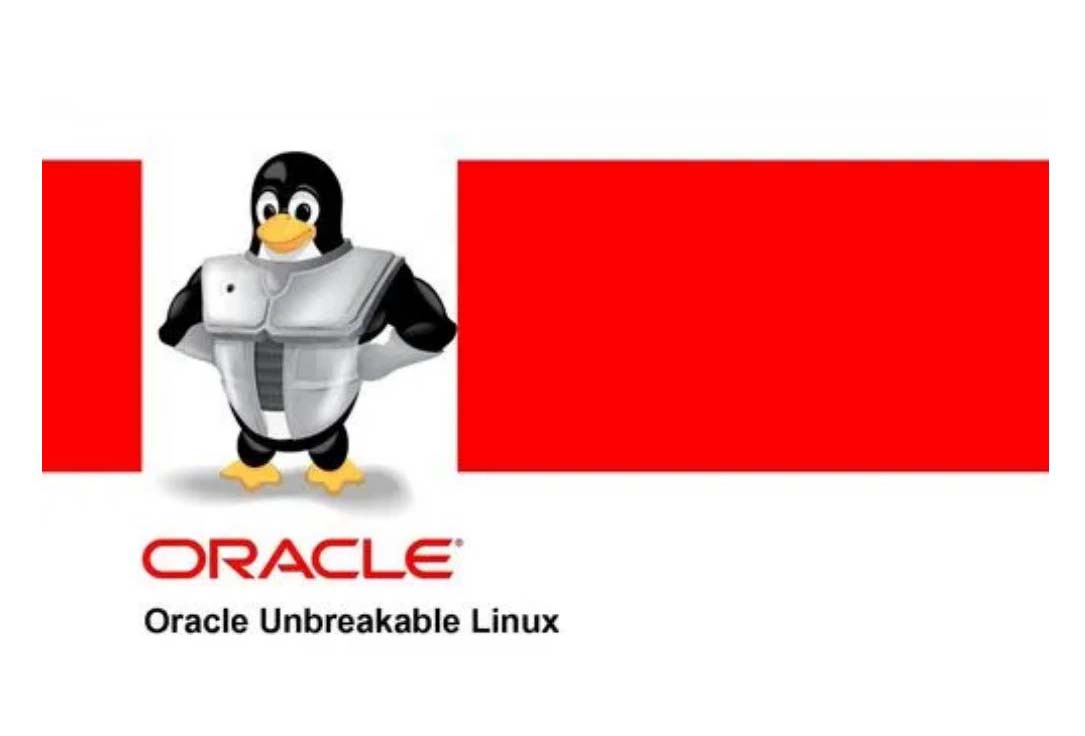 Oracle 19c RAC 手工建库